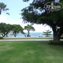 фото из отзыва ID 813888