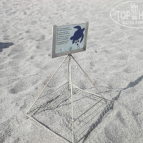 фото из отзыва ID 813883