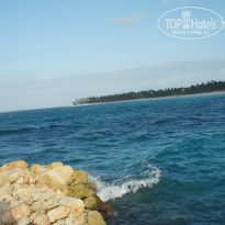 фото из отзыва ID 814015