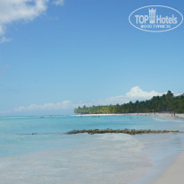 фото из отзыва ID 814015