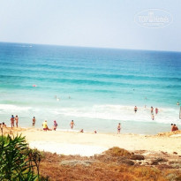 фото из отзыва ID 814255