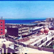 фото из отзыва ID 814505