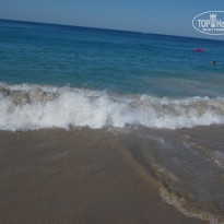 фото из отзыва ID 814717