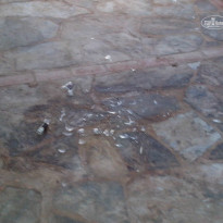 фото из отзыва ID 814816