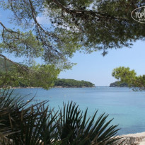 фото из отзыва ID 814821