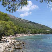 фото из отзыва ID 814821