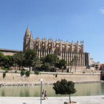 фото из отзыва ID 814821