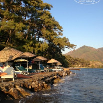 фото из отзыва ID 814642