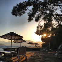 фото из отзыва ID 814642