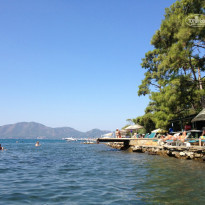 фото из отзыва ID 814642