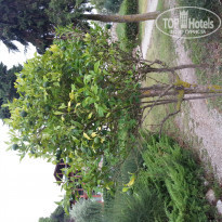 фото из отзыва ID 814950