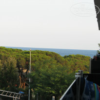 фото из отзыва ID 815107