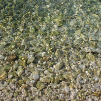 фото из отзыва ID 815433