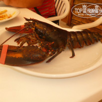 фото из отзыва ID 815526