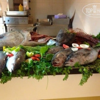 фото из отзыва ID 815751