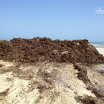 фото из отзыва ID 815751