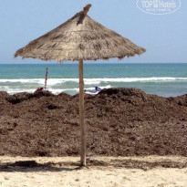 фото из отзыва ID 815751