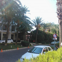 фото из отзыва ID 815981