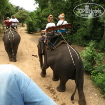 фото из отзыва ID 815968