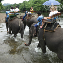 фото из отзыва ID 815968