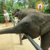 фото из отзыва ID 815968