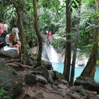 фото из отзыва ID 815968