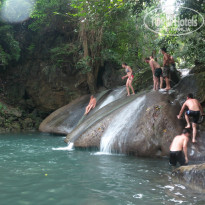 фото из отзыва ID 815968