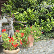 фото из отзыва ID 816052