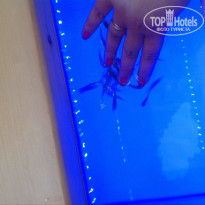 фото из отзыва ID 816557