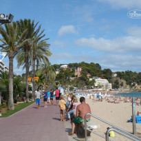 фото из отзыва ID 816594