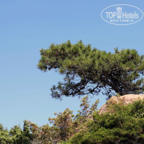 фото из отзыва ID 816630