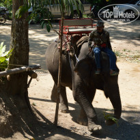 фото из отзыва ID 816666