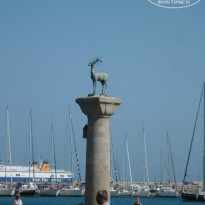 фото из отзыва ID 816711