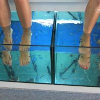 фото из отзыва ID 816740