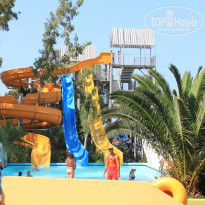 фото из отзыва ID 816828