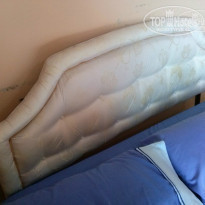 фото из отзыва ID 816068