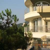 фото из отзыва ID 81629