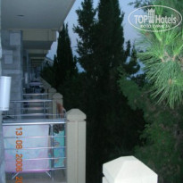 фото из отзыва ID 81629