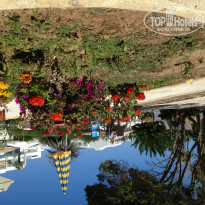 фото из отзыва ID 817027