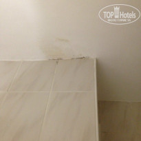 фото из отзыва ID 817041