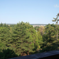 фото из отзыва ID 817081