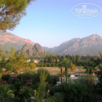 фото из отзыва ID 817178