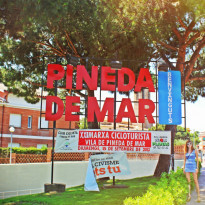 фото из отзыва ID 817202