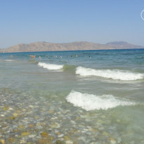 фото из отзыва ID 817252