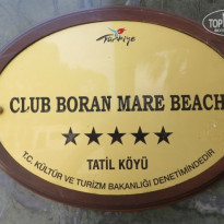 фото из отзыва ID 817563