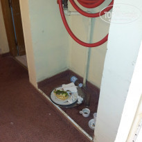 фото из отзыва ID 817594