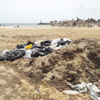 фото из отзыва ID 817594