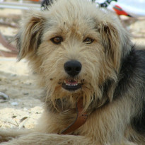 фото из отзыва ID 817676