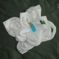 фото из отзыва ID 817070