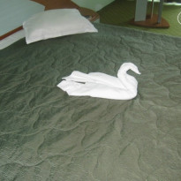 фото из отзыва ID 817070